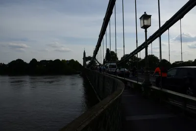 DSC_2486 (Large).JPG